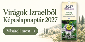 Képeslapnaptár 2027 – Virágok Izraelből. Vásárolj most