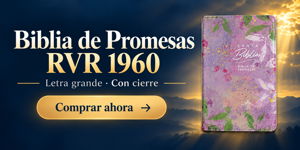 RVR 1960 Biblia de Promesas Letra Grande y Ziper. Comprar ahora