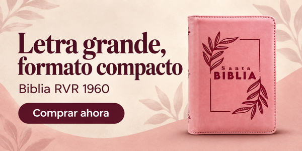 RVR 1960 Biblia Chica de Letra Grande