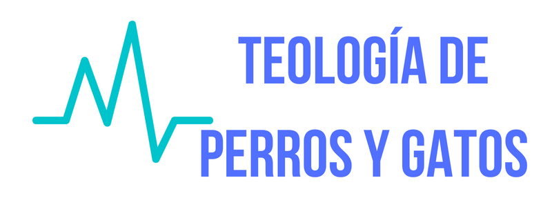 TEOLOGIA DE PERROS Y GATOS