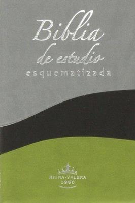 Biblia de estudio esquematizada