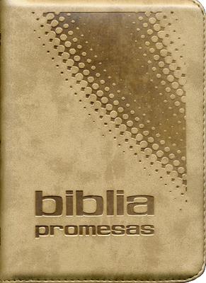 Biblia promesas