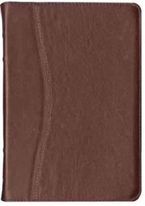 Biblia elegante vinotinto