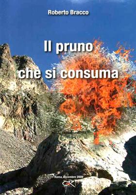 Il pruno che si consuma