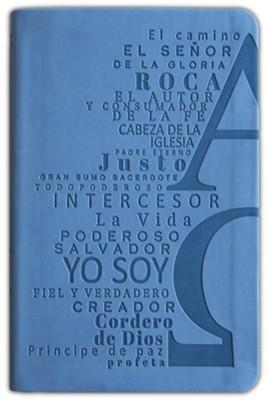 Biblia Reina Valera 1960 Los Nombres de Dios - Celeste (Tapa Suave)