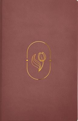RVR 1960 Biblia de Promesas Virtuosa