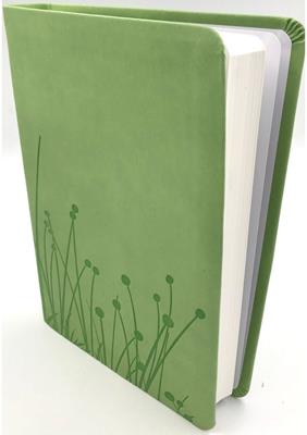 Biblia RVR60 Tamaño Personal Verde