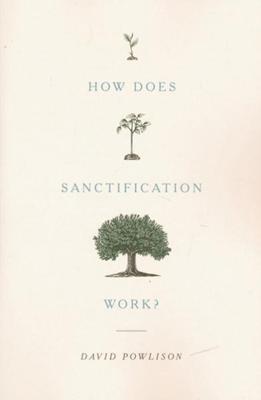 How does sanctification work?