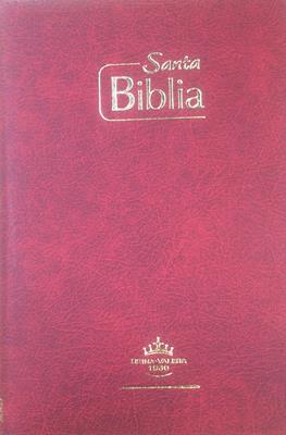 Biblia Tamaño65CZ Tipo Agenda Vinotinto
