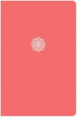 CSB everyday study bible