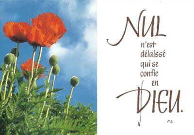 Carnet
