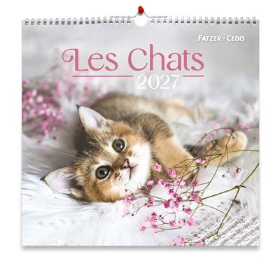 Chats calendrier grand format 2027