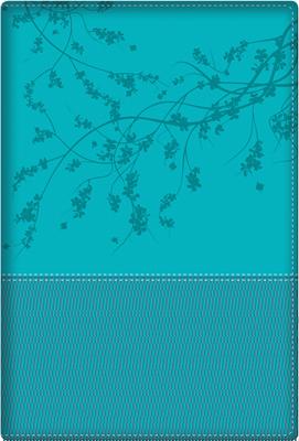 RVR 1960 La Biblia de la Mujer Conforme al Corazón de Dios (Imitación Piel, Duotono Acqua)