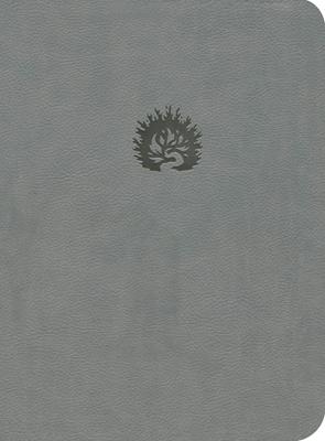 LBLA Biblia de Estudio de la Reforma (Imitación Piel) [Biblia de Estudio]