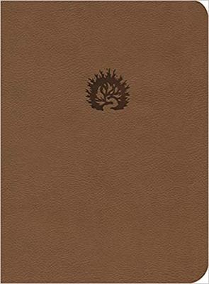 LBLA Biblia de Estudio de la Reforma (Imitación Piel) [Biblia de Estudio]