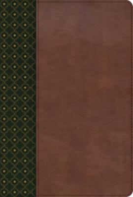 RVR 1960 Biblia de Estudio Scofield (Imitación Piel, Verde Oscuro Castaño)
