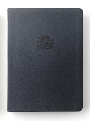 LBLA La Biblia de Estudio de La Reforma