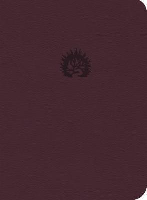 LBLA La Biblia de Estudio de La Reforma (Semi piel Azul Ciruela)