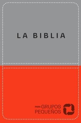 NBV Biblia Para Grupos Pequeños