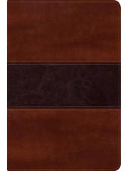 RVR60 Biblia del Pescador Letra Grande (Imitación Piel) [Biblia]