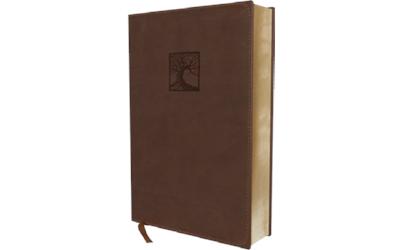 NVI Biblia Estudio La Justicia de Dios