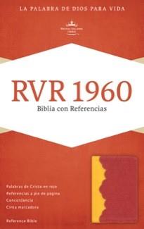Biblia - Amarillo Rojo Ladrillo