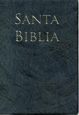 Biblia Letra Grande Manual Negro