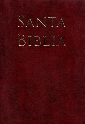 Biblia Letra Grande Vinilo Café
