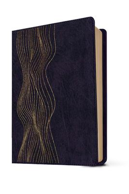 RVR60 Biblia de Estudio Diario Vivir (Imitación Piel)