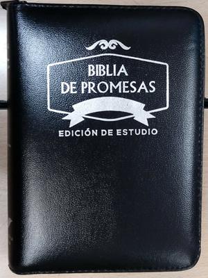 Biblia Tamaño 045 Promesas Negra