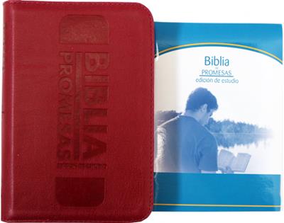 Biblia RVR60 Tamaño 045CZA Promesas