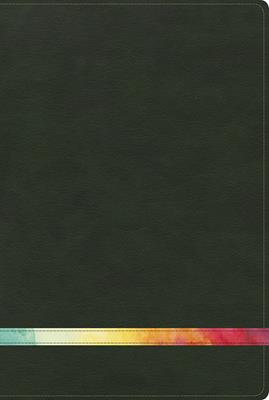 Biblia De Estudio Arco Iris RVR60 Verde Oscuro Símil Piel