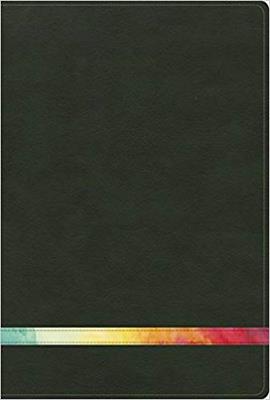 Biblia De Estudio Arco Iris Verde Oscuro Símil Piel