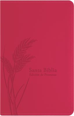 RVR60 Biblia de Promesas Manual con Cierre e Índice (Imitación Piel) [Biblia]