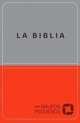 NBV Biblia Para Grupos Pequeños