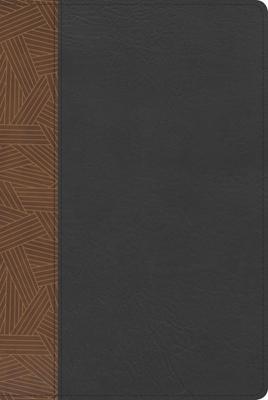 RVR60 Biblia de Estudio Arcoiris (Imitación Piel) [Biblia de Estudio]
