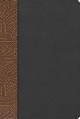 RVR60 Biblia Arcoiris con Índice (Imitación Piel) [Biblia de Estudio]