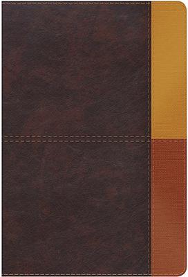 RVR60 Biblia de Estudio Arcoiris (Imitación Piel)