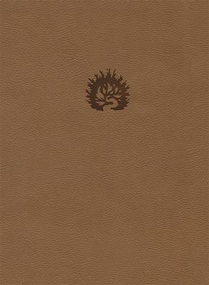 Bible d'étude de la foi réformée