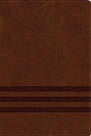 NVI Biblia de Estudio Teología Bíblica (Imitación Piel) [Biblia de Estudio]