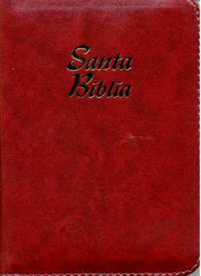 Biblia Tamaño025CIZ Concordancia Indice Vinotinto