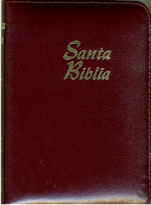Biblia RVR60 Tamaño 25CZILG Indice