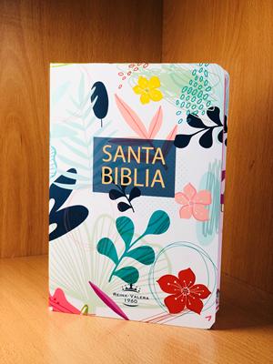 RVR 1960 Biblia Hojas Coloreada