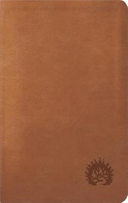 NBLA Biblia de Estudio de La Reforma Condensada (Imitación Piel) [Biblia]