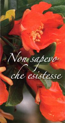 Non sapevo che esistesse - 100 Opuscoli