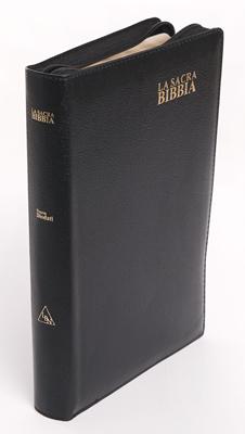 Bibbia Nuova Diodati a caratteri grandi (171.243)