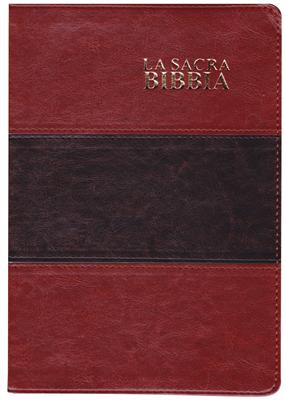 Bibbia Nuova Diodati a caratteri grandi (171.244)