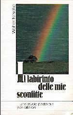 Il labirinto delle mie sconfitte