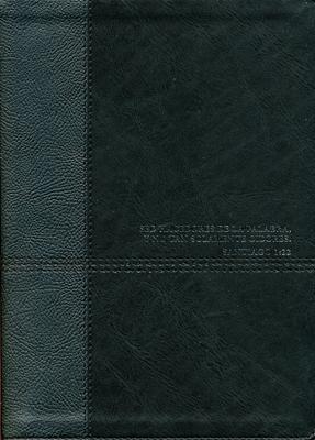 RVR60 Biblia de Estudio Diario Vivir Edición Aumentada (Imitación Piel) [Biblia de Estudio]