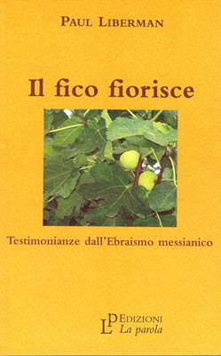 Il fico fiorisce